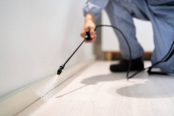 Rodent Entry Point Assessment in Des Moines