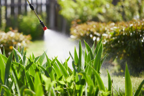 Tamper-Resistant Bait Stations for Rodents in Des Moines