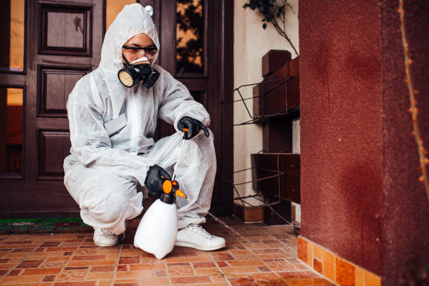 Attic and Crawl Space Rodent Treatment in Des Moines