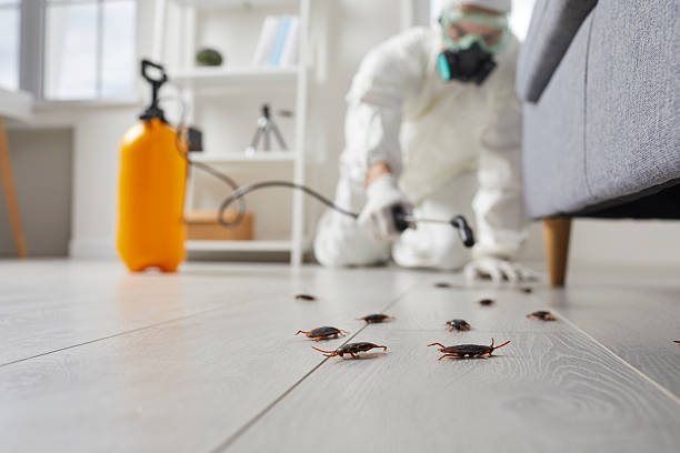 Commercial Rodent Management in Des Moines